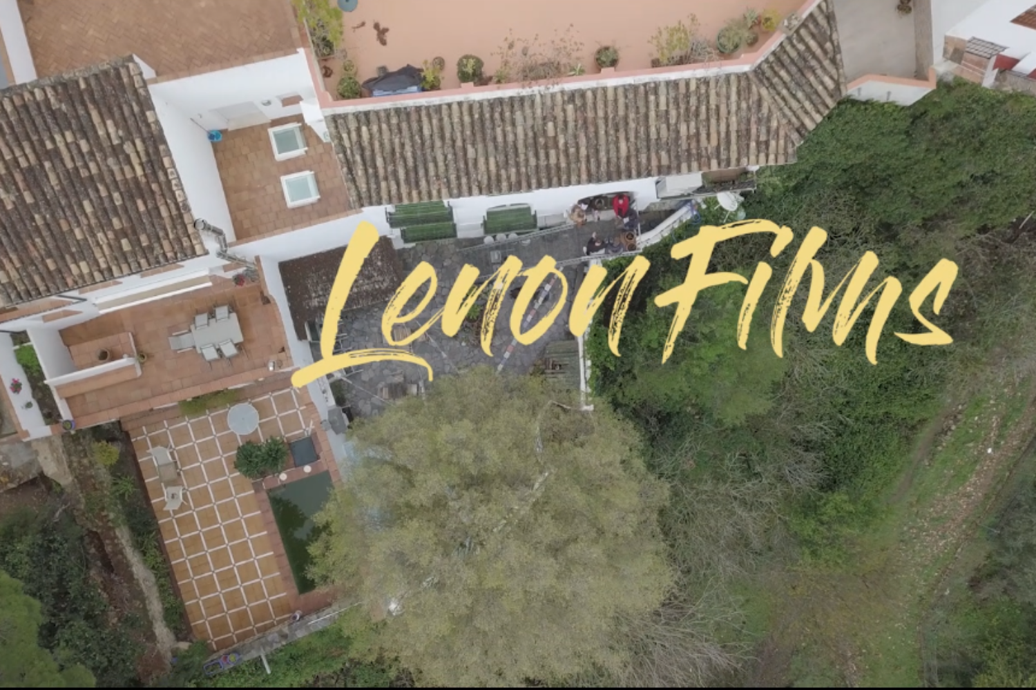 simulación de escritura adobe premiere