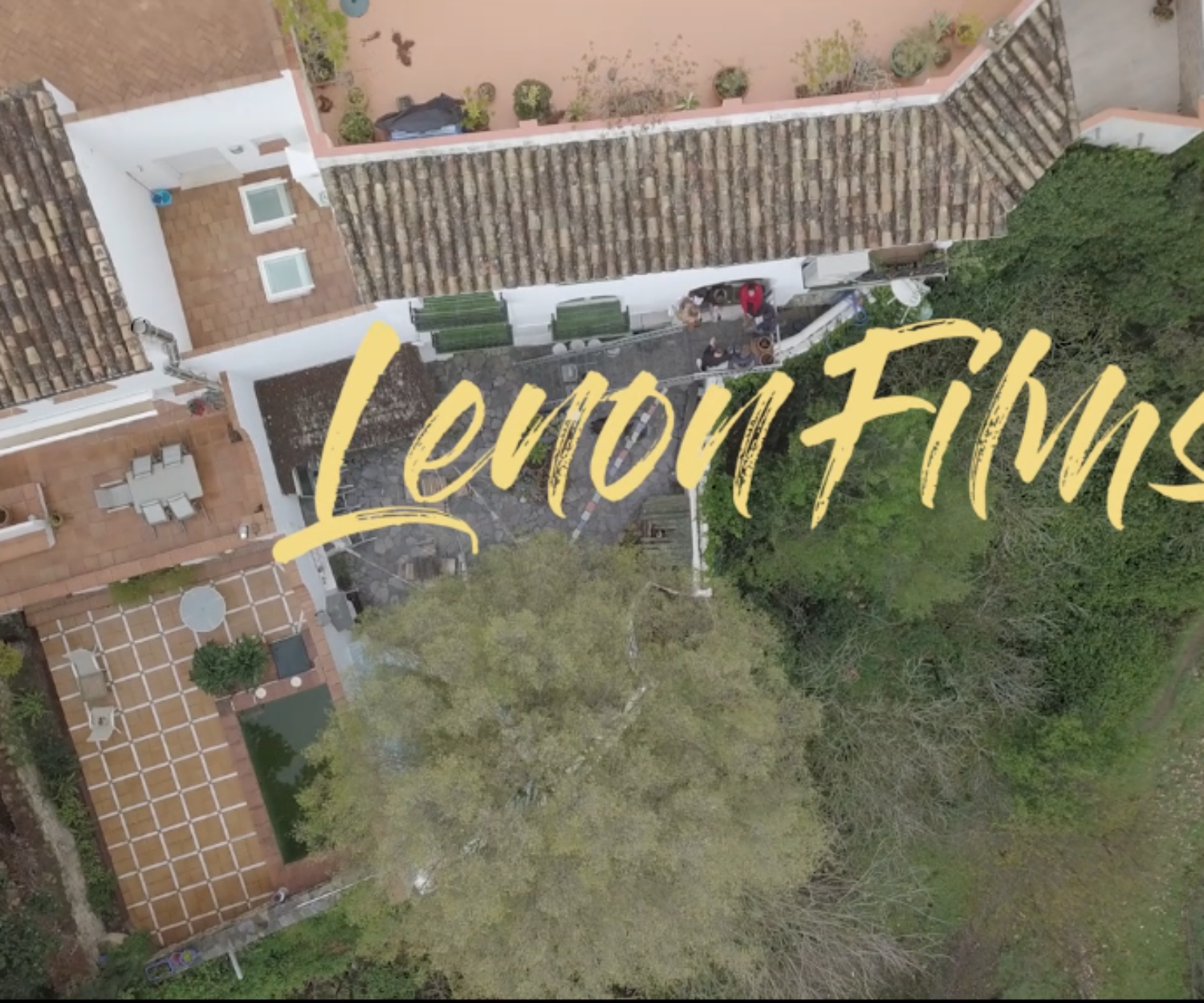 simulación de escritura adobe premiere