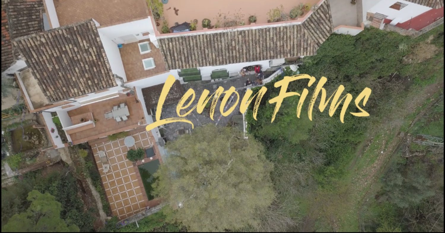 simulación de escritura adobe premiere