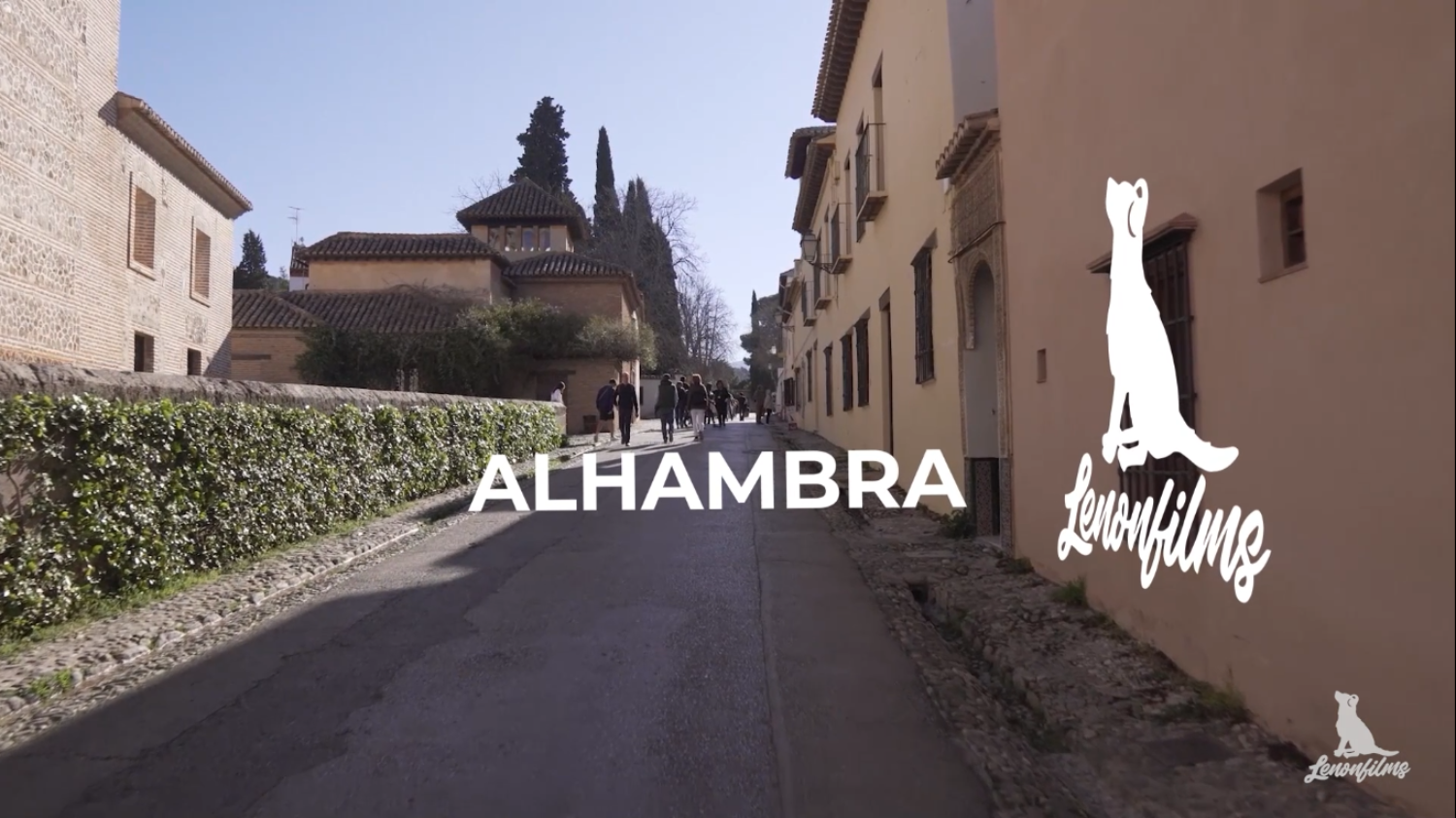 Elementos Flotantes con Tracking 3D Lenonfilms